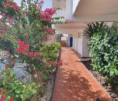 Casa Tavio 4 Casa Tavio 5 *